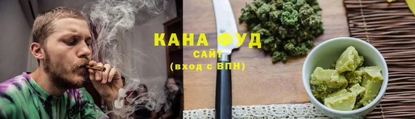 индика Вяземский