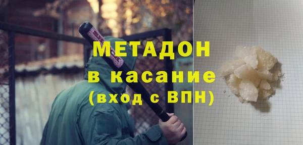 индика Вяземский
