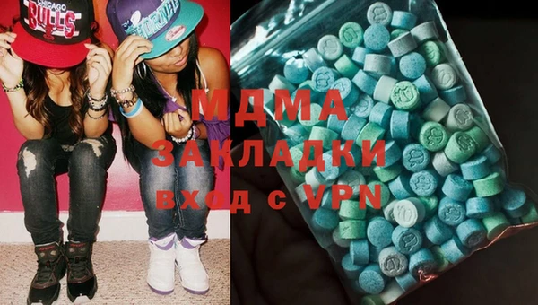 индика Вяземский