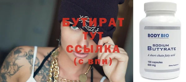 индика Вяземский