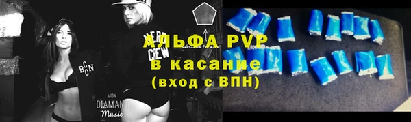 индика Вяземский