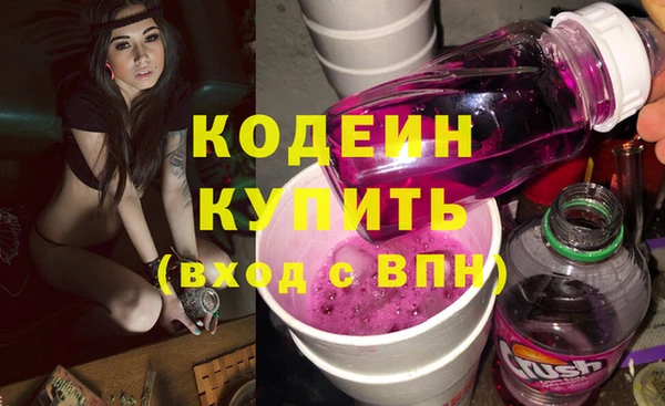 индика Вяземский