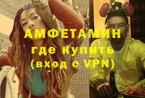 индика Вяземский