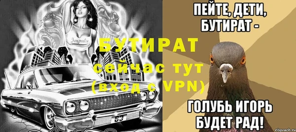 индика Вяземский