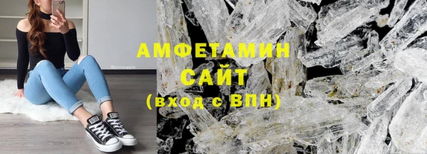 индика Вяземский