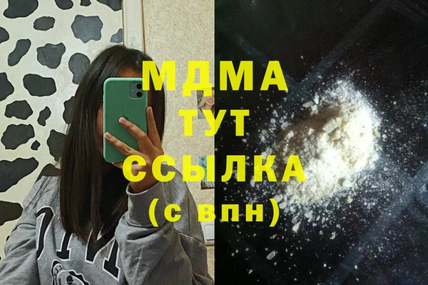 индика Вяземский