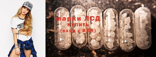 индика Вяземский